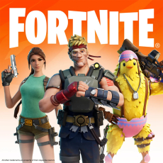 Published & copyrighted by Epic Games Fortnite